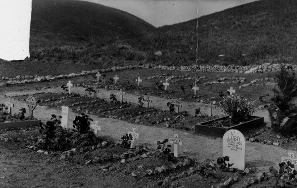 Grave of 'Lobo,' police dog pet of Chief of Police James E. Davis, 1929 | Herald-Examiner Collection, Los Angeles Public Library