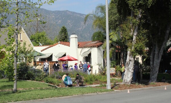 Pasadena Rain Garden