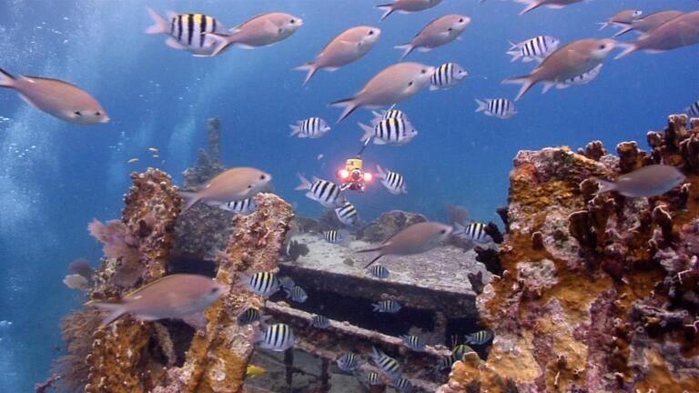 Sunken Stories