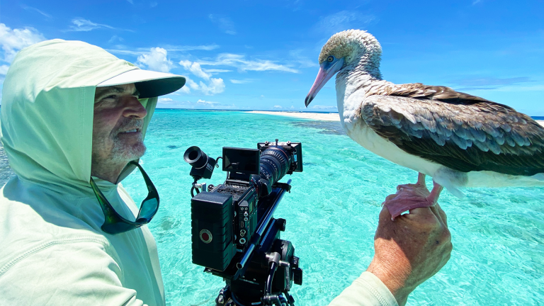 The Making of "Sharks of Hawaii"