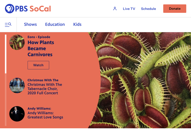 Image of PBS SoCal Homepage