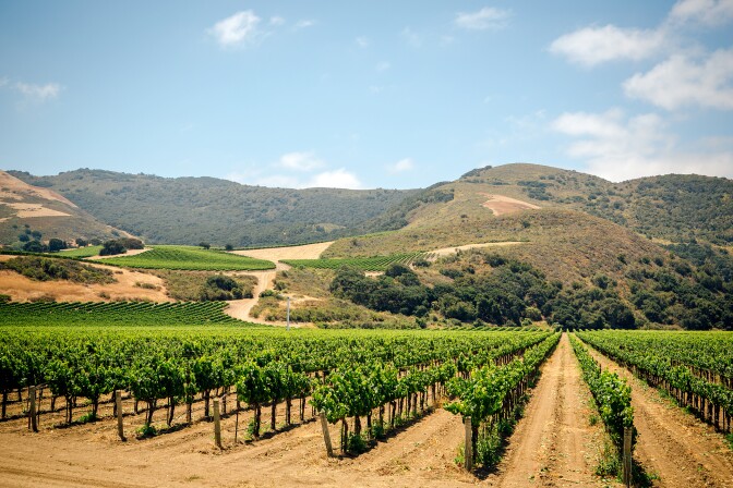 California Agriculture
