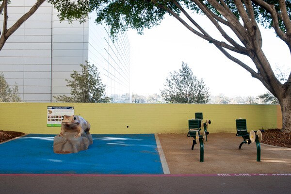 Wellness Center Park offers opportunities for play and exercise to visitors of all ages | Photo courtesy of Amigos de los Rios