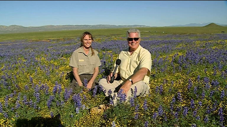 Carrizo Plain