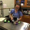 Veterinary student examines cat with casts on from burns in wildfire  | Courtesy UC Davis School of Veterinary Science