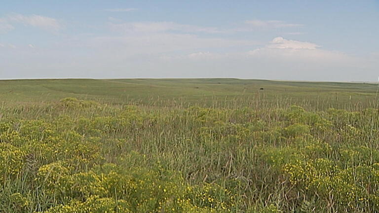 Saving Historic Kansas Prairie Grasslands
