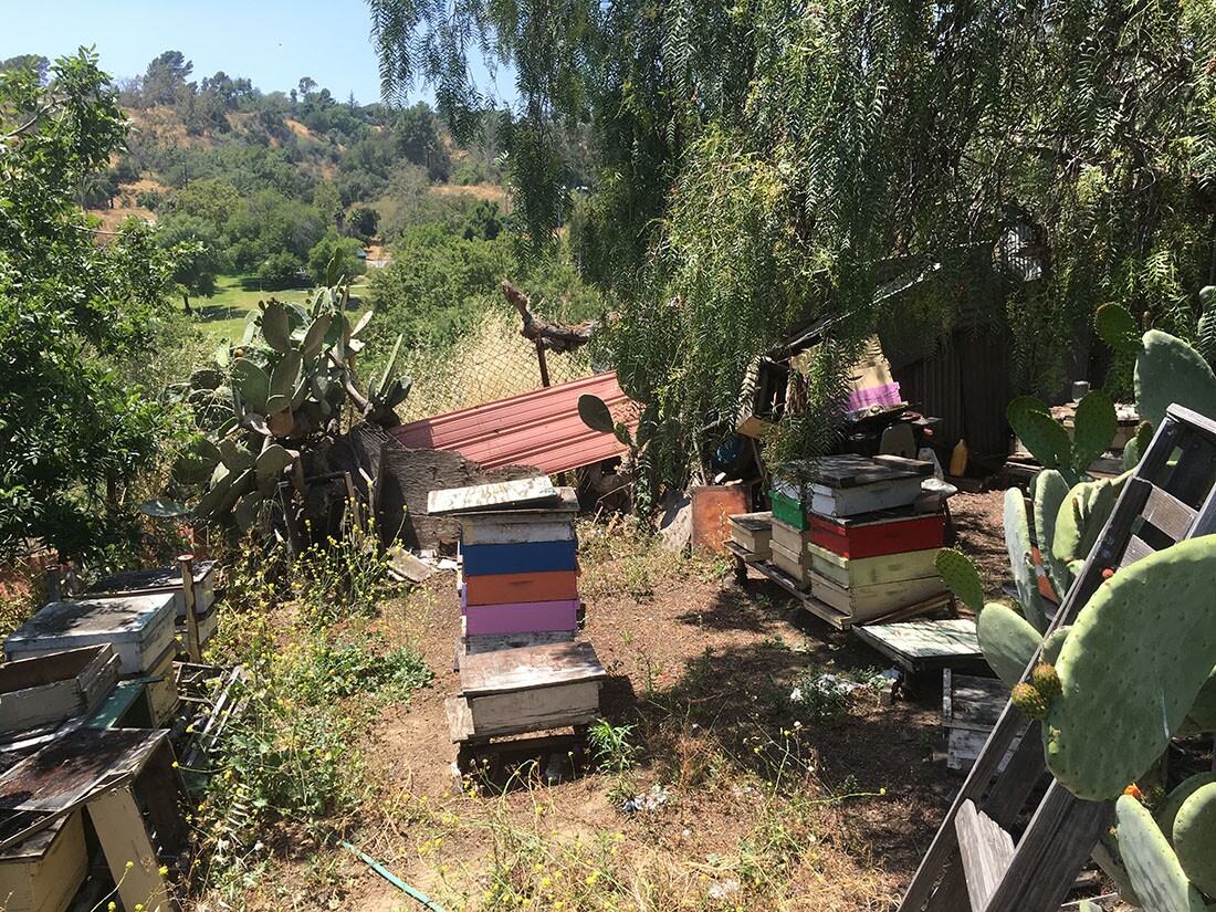 Wooden Hive Frames | Oliver Wang