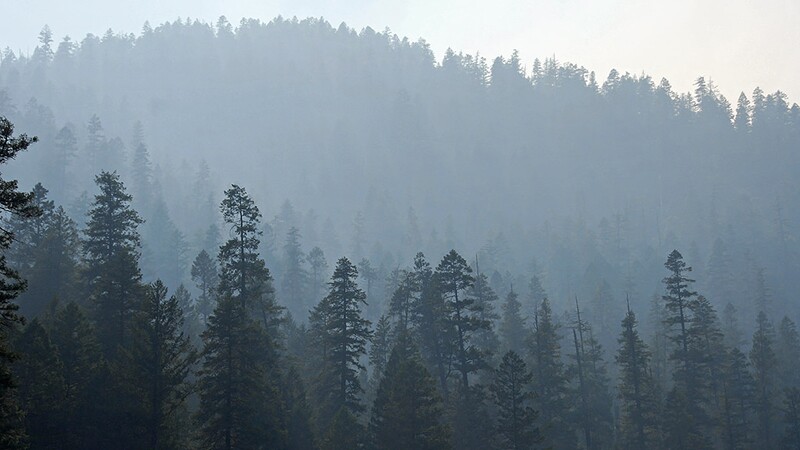 Smoke shades the Klamath River, cooling the water and helping salmon. | Photo: USFS