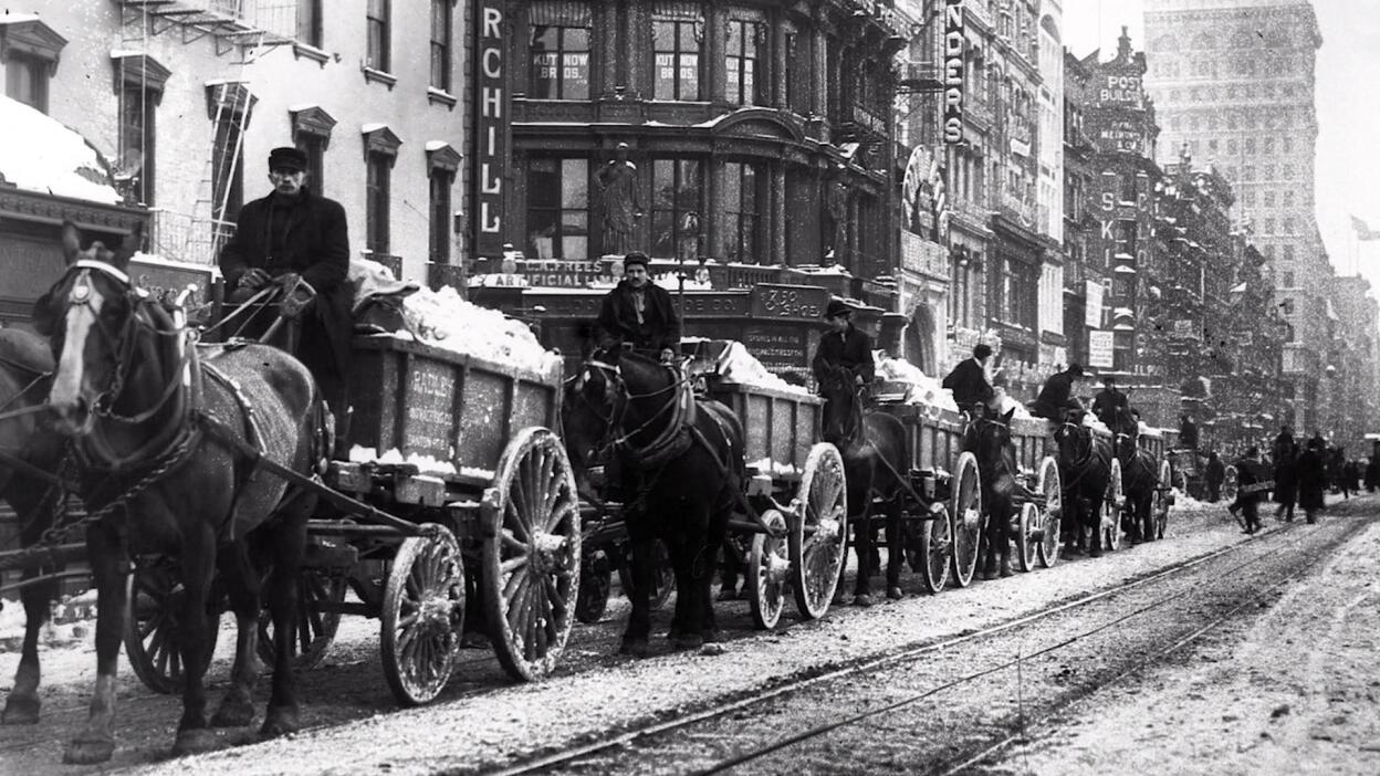 The New York Horse Manure Crisis