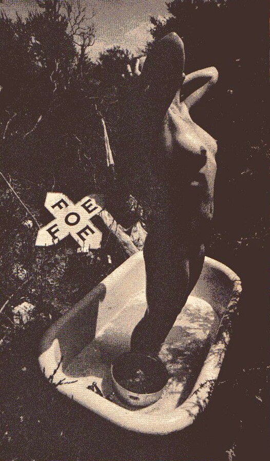 avantgarde1