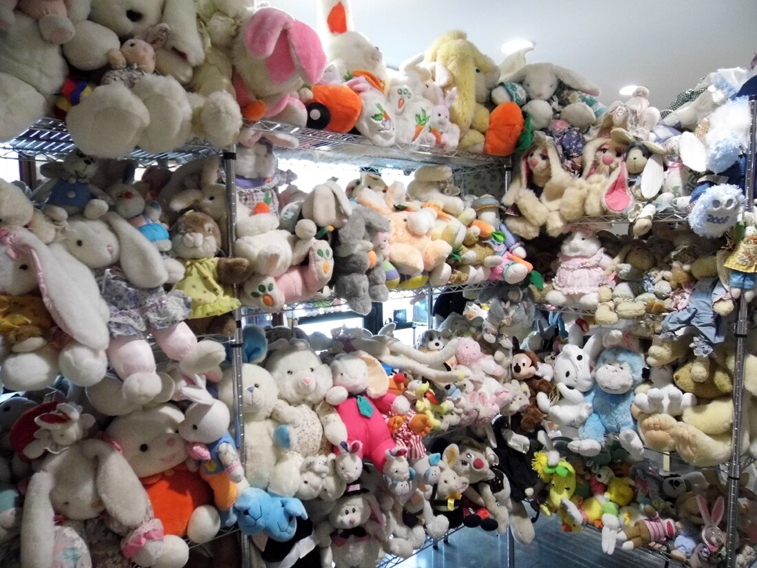 The Bunny Museum (2)