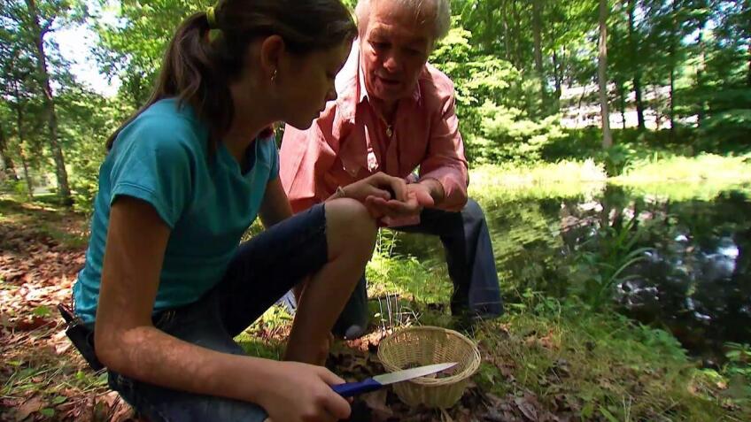 Shorey’s Petite Appetite