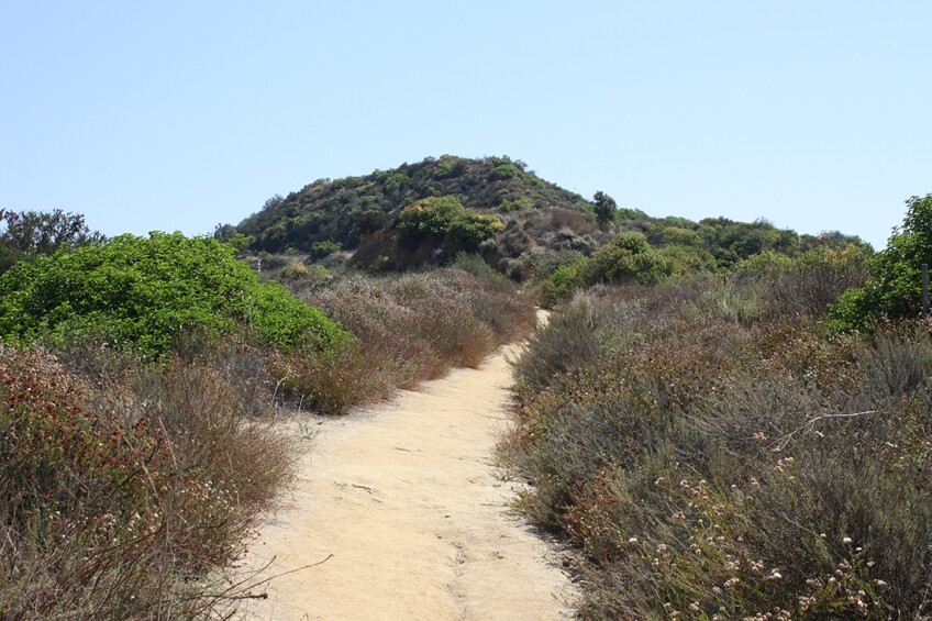 Franklin Canyon