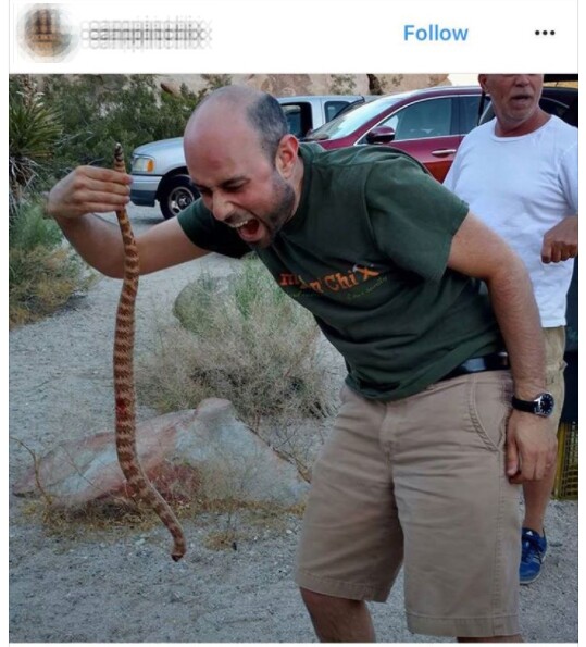 JTNP visitor plays with beheaded rattlesnake | Image: via Instagram