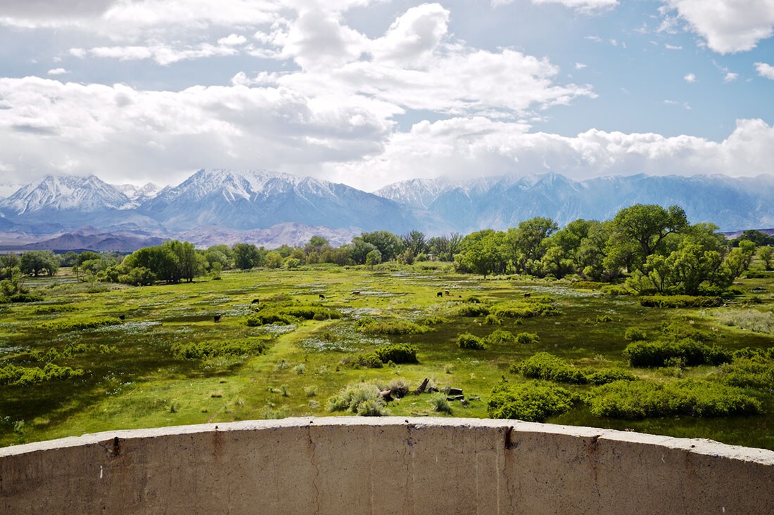 View from Atop Silo onto Naturally Irrigated Pasture and Snowcapped Sierra Nevada - Bishop, CA - 2016 | Osceola Refetoff
