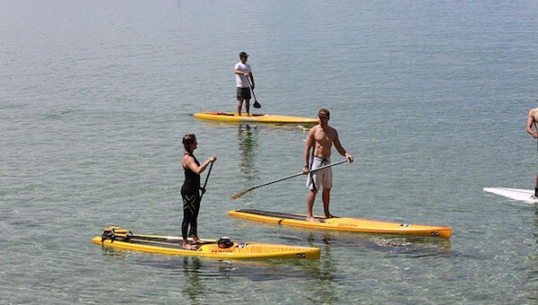 shark-attack-catalina-island-paddleboard