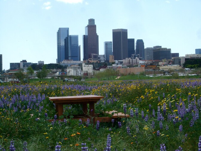 Park Access - Los Angeles State Park