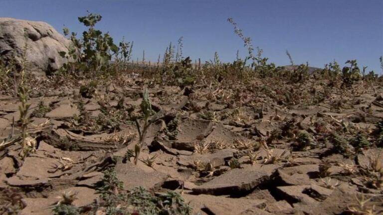 The Climate Wild Card New