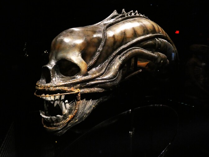 An artifact from horror sci-fi film "Alien" is an alien head that resembles a human skull stretched out. The skull has big, sharp snarling teeth resembling a lion or some sort of big cat. Tentacle-like veins wrap around the skull and mouth.