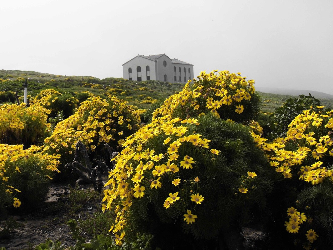Anacapa Island
