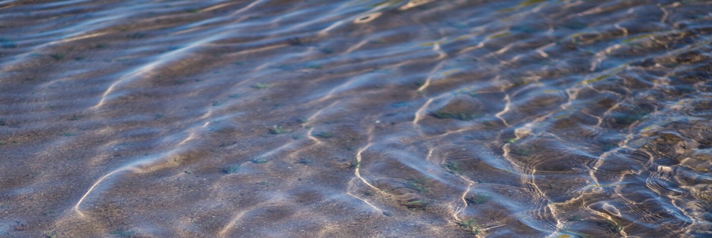 Water from a percolating pond that tests the permeability of water on Cadiz, Inc.'s property in Cadiz, CA., on Wednesday, Feb. 6, 2019. | Jenna Schoenefeld for The Washington Post via Getty Images