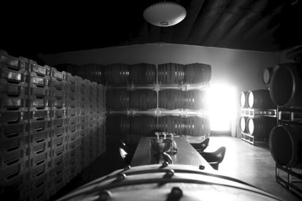 syrah1-600