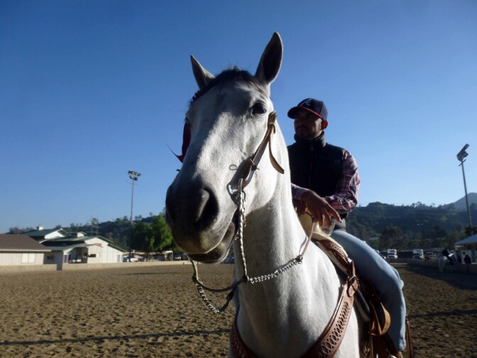 Equestfest (1)