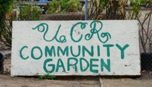 UCR Community Garden