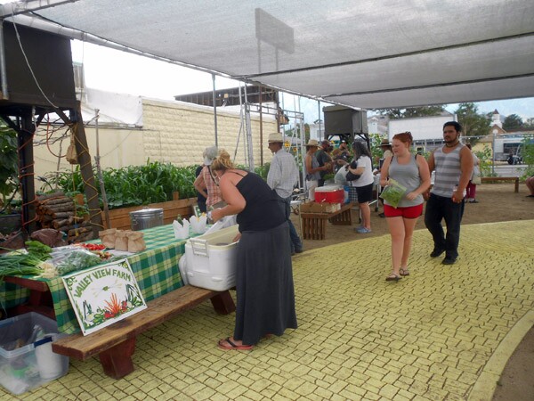 CC_FoodDesert1