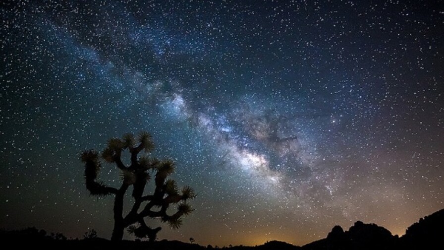 Dark skies in Joshua Tree National Park.