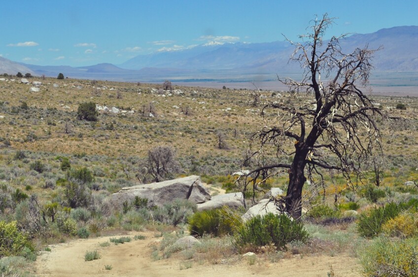 Near Lone Pine Campground