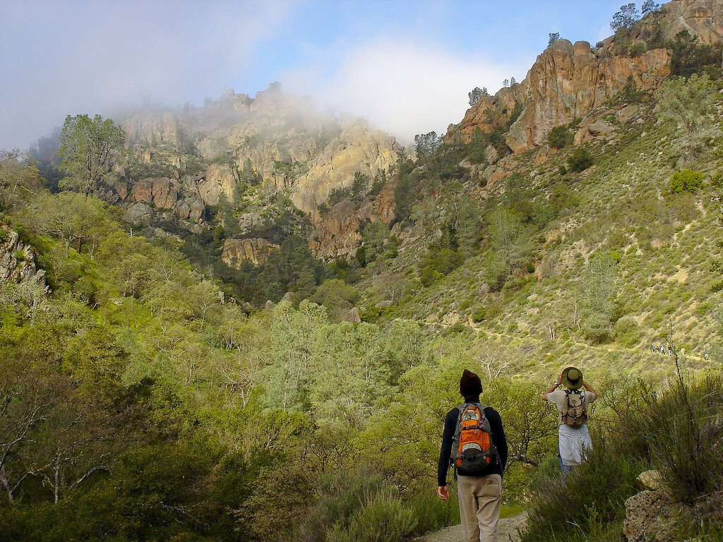 pinnacles park