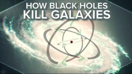 How Black Holes Kill Galaxies