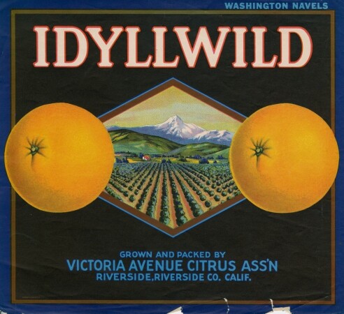 idyllwild
