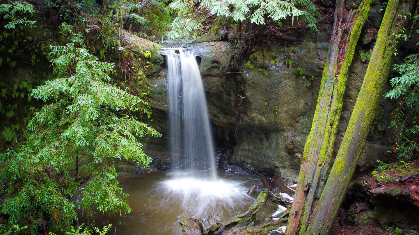 big basin redwood state park