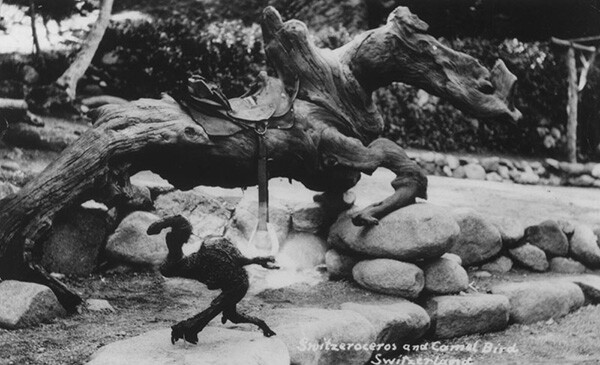 Twisted wood figures, Switzeroceros and Camel Bird, at Switzer-land | Courtesy of the Los Angeles Public Library