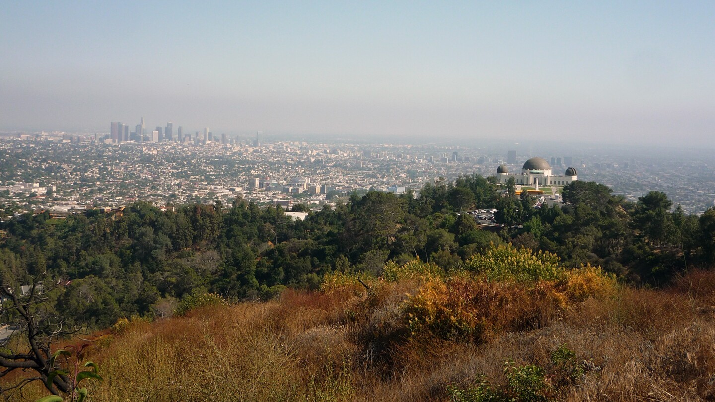 mt. hollywood