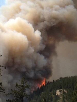 A Smoke Column From The Aspen Fire. | Photo: Courtesy Inciweb