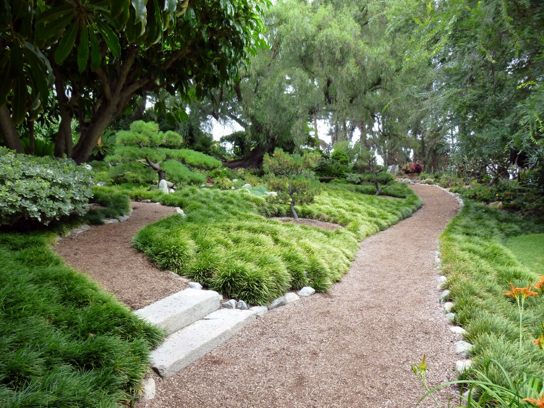 Self-Realization Fellowship (1)