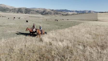 Montana