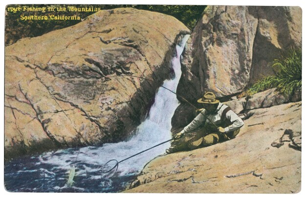 steelheadriver01.jpg