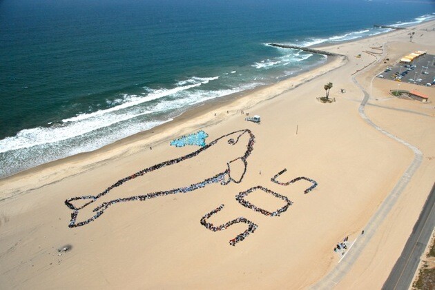 AERIAL 1.jpg
