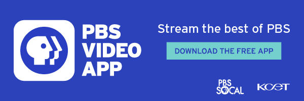 A promotional banner for the PBS Video app.