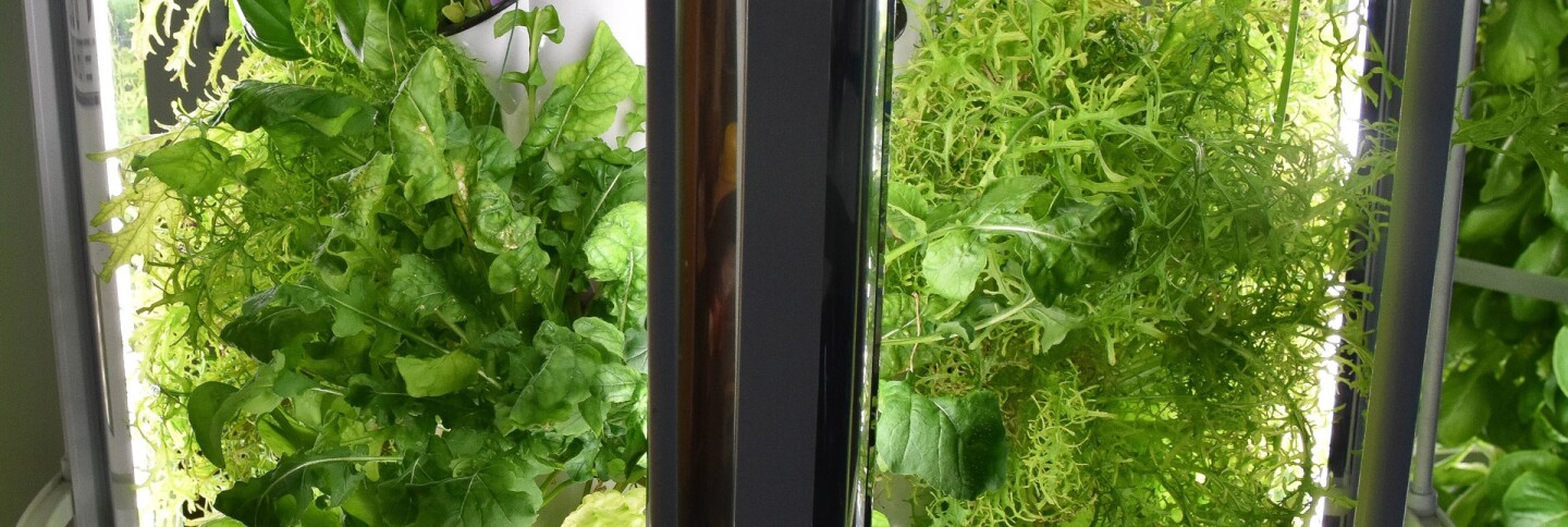 Tower Garden