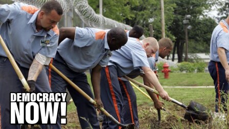 Prisoners digging up soil with shovels.