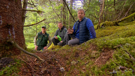 Following a Bear Trail