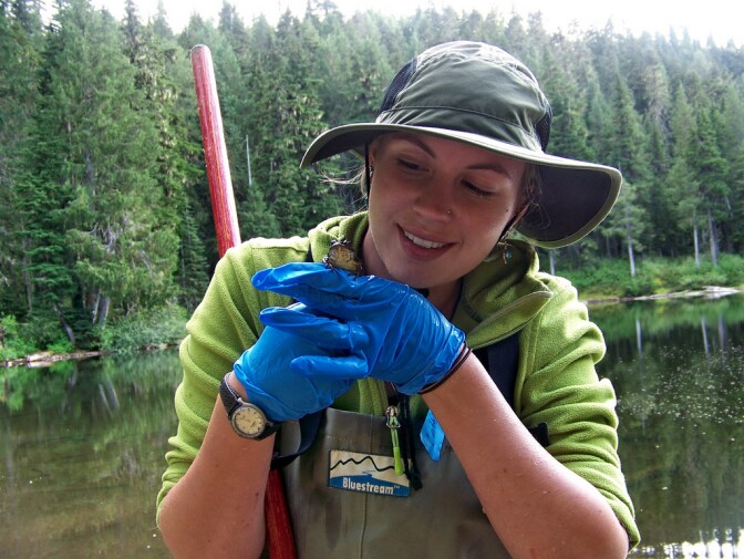 cit-sci-rainier-frog-4-17-16.jpg