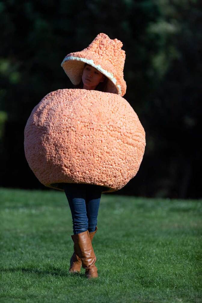 The Ojai Pixie Tangerine performs as part of the"The Food Group" by Ry Rocklen at Current:LA Food in Palms Park | Courtesy of the Department of Cultural Affairs