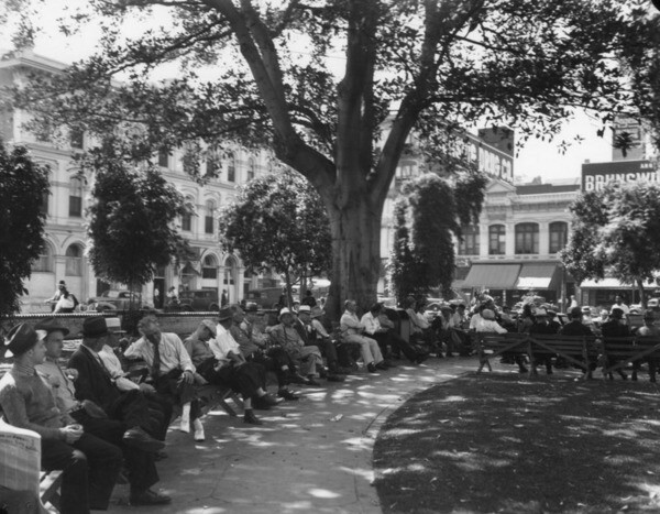 This 138-year-old Moreton Bay fig continues to shade the Plaza to this day. Courtesy of the Photo Collection, Los Angeles Public Library.