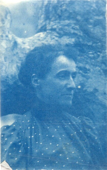 novelist_e